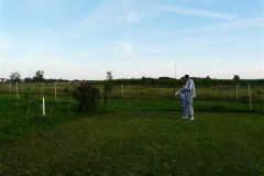 P1050387