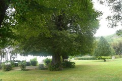 P1060016