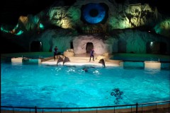 Schermafbeelding-2025-01-28-123825