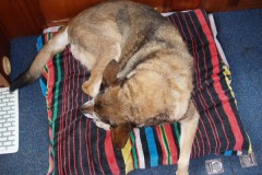 vlcsnap-2025-06-02-13h53m27s324-600-x-450