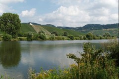 Schermafbeelding-2025-01-24-133313
