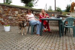 Schermafbeelding-2025-01-24-134251