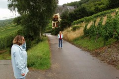 Schermafbeelding-2025-01-24-134350