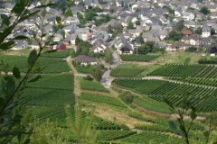 Schermafbeelding-2025-01-24-134506