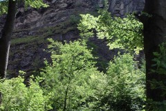 IM_A0152