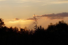 P1080701