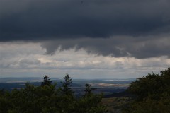 DSC_0210