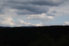 DSC_0241