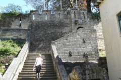 P1020032