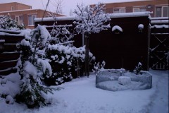 Schermafbeelding-2025-01-19-113618