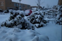 Schermafbeelding-2025-01-19-113645