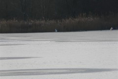 P1060884