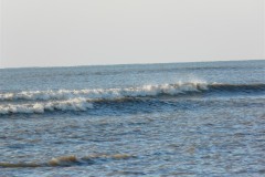 P1010198