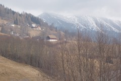 P2252490