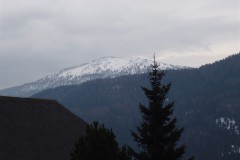 P2252494