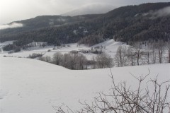 P2282544